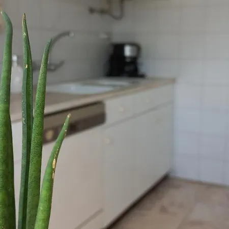 Apartamento Little Seagull Guest House