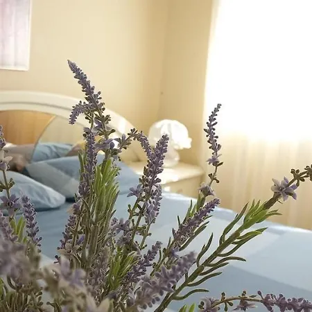 Little Seagull Guest House * Azurara